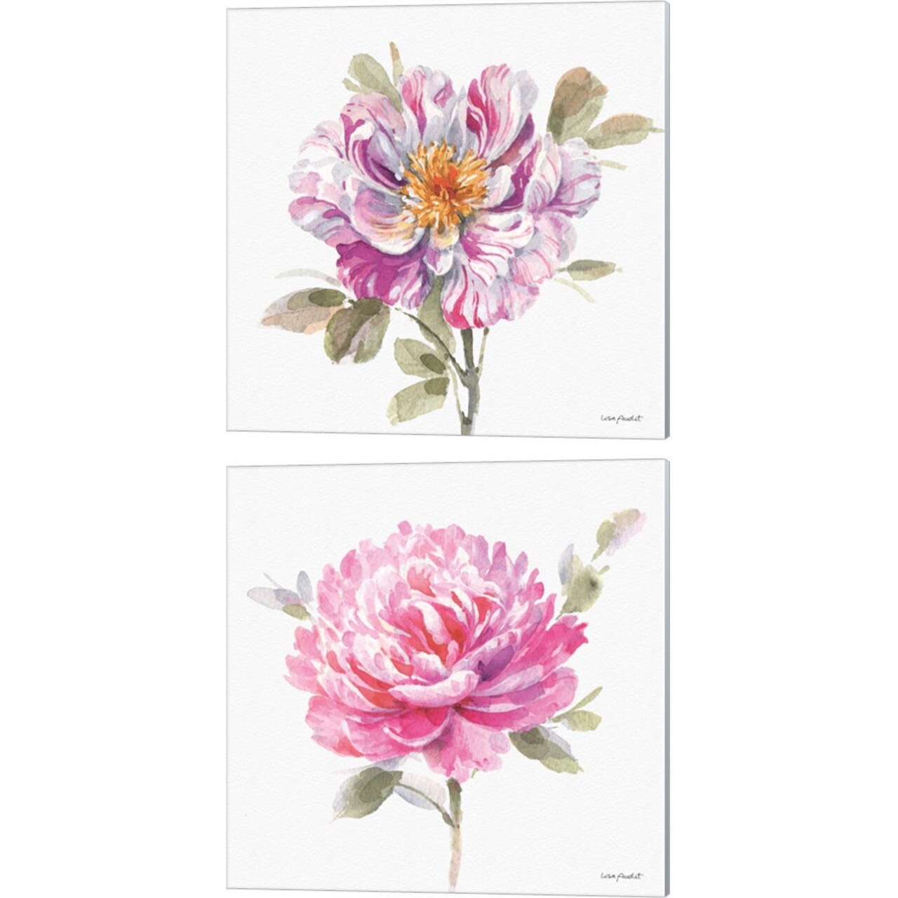Obviously Pink A by Lisa Audit 14" x 14" Canvas Wall Art (Set of 2)